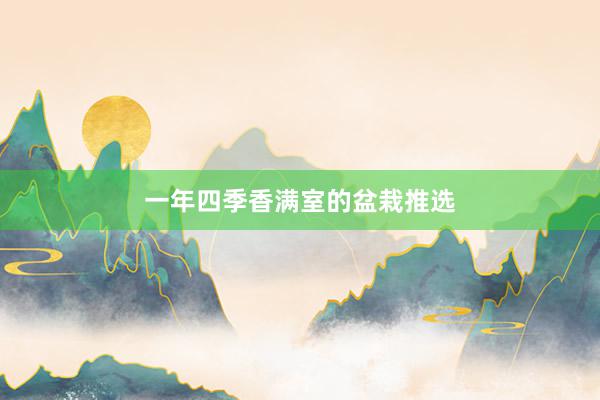一年四季香满室的盆栽推选