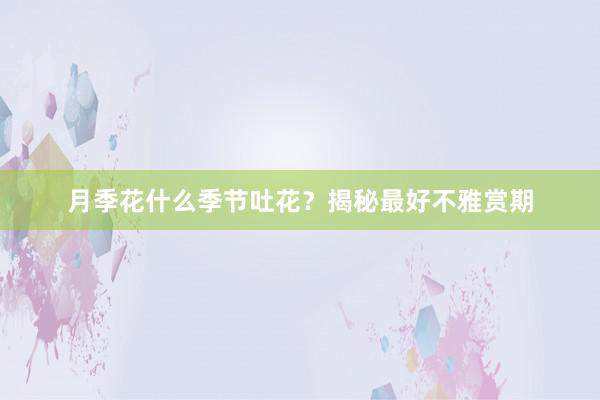 月季花什么季节吐花?揭秘最好不雅赏期